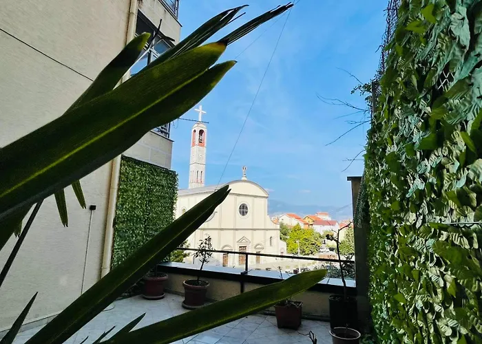 Paco Center * Shkodër