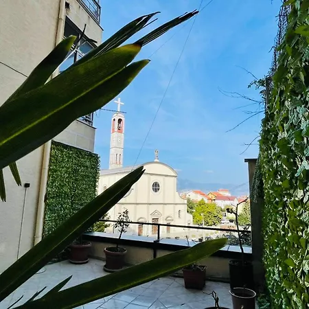 Paco Center * Shkodër