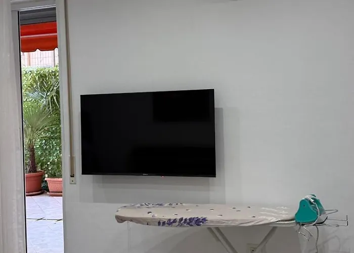 Paco Center * שקודר